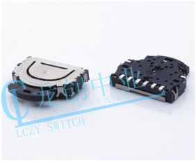 PUSH LEVER SWITCH