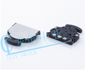 PUSH LEVER SWITCH