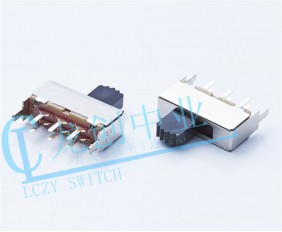 SS-Slide Switch
