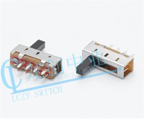 SS-Slide Switch