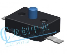 Detection switch