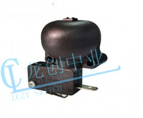 Appliance switch