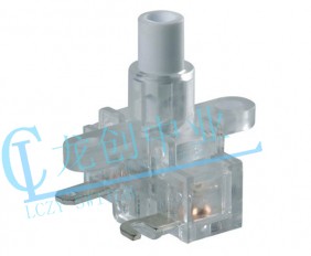 Appliance switch