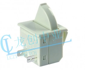 Appliance switch