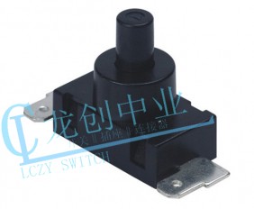 Appliance switch