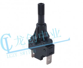 Appliance switch