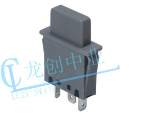 Appliance switch