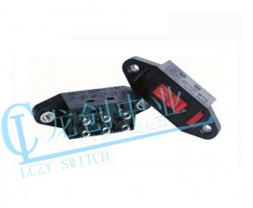 Appliance switch